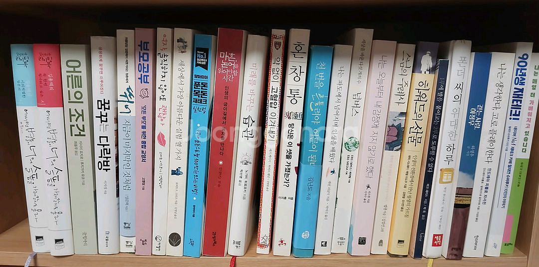 다양한 종류의 책 모음25권 일괄판매--0