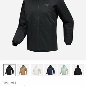 아크테릭스 아톰 후디 블랙 L