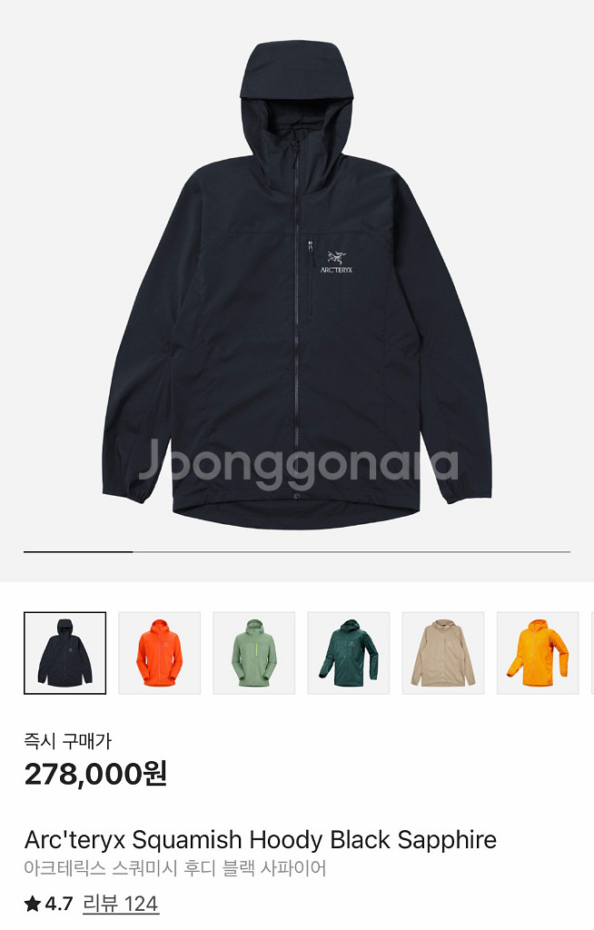 아크테릭스 스쿼미시 후디 L--0