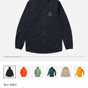 아크테릭스 스쿼미시 후디 L