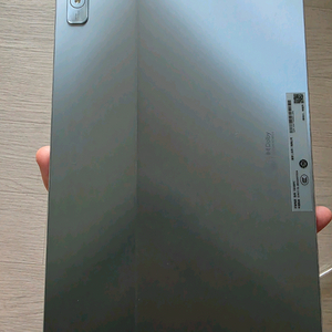 레노버탭 P11 프로 OLED 용팡이