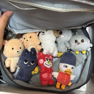 라이즈 인형 일괄양도