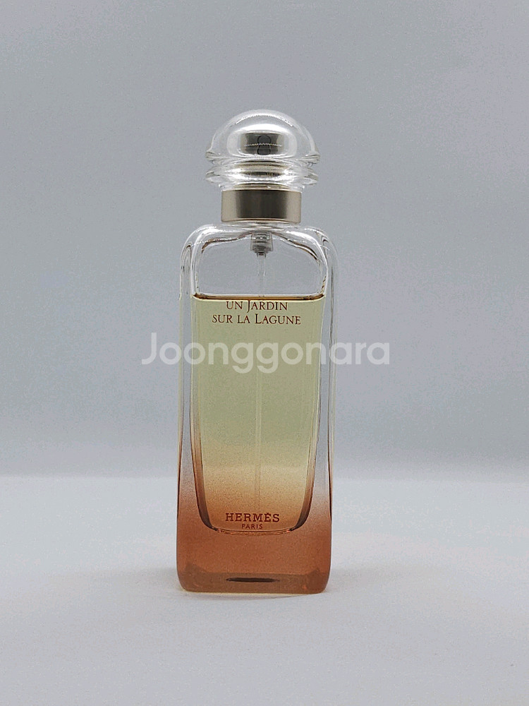 에르메스 운자르뎅 수르 라 라군 100ml EDT 향수--0