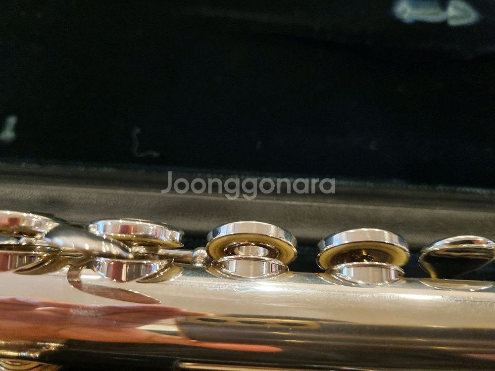 알투스 altus flute 1107 95.8 바디실버--2
