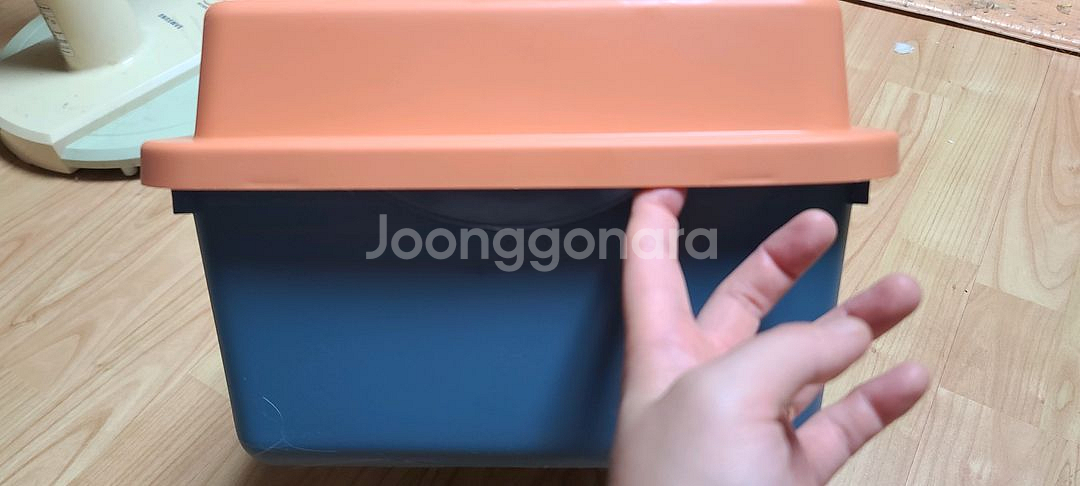 아기 고양이 화장실 사실분--4
