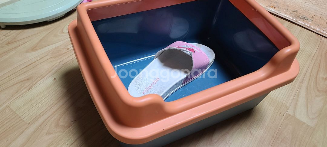 아기 고양이 화장실 사실분--2