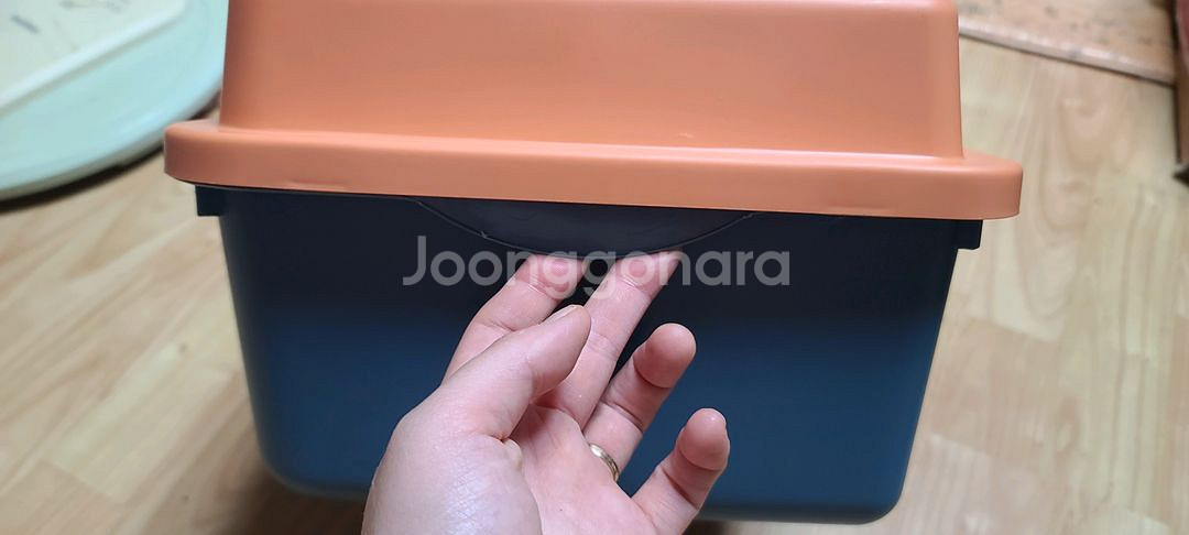 아기 고양이 화장실 사실분--6