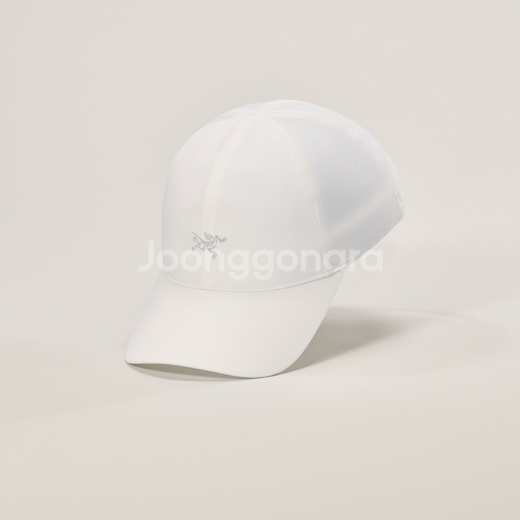 (L-XL) 아크테릭스 스몰 버드 캡 모자--0