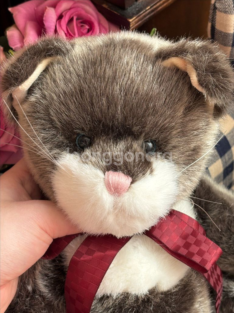 레어) 보이즈베어 왕고양이 빈티지인형 빈티지소품고전인형--1