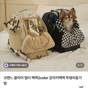 꼬뗀느 강아지 백팩 이동가방