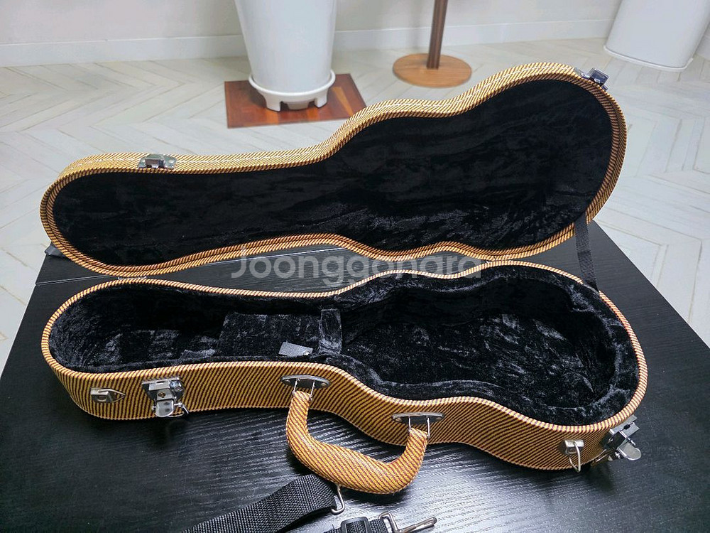 소프라노 우쿨렐레 하드 케이스 - 잔디--3