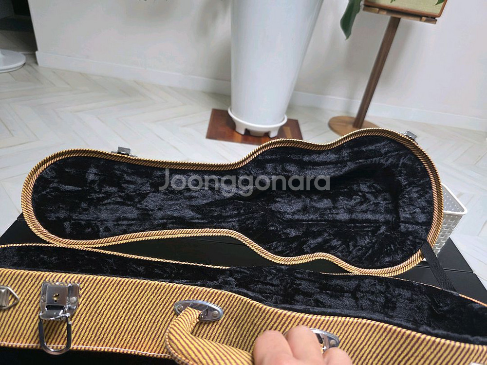 소프라노 우쿨렐레 하드 케이스 - 잔디--5