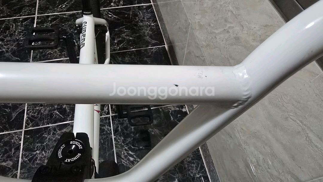 선데이 BMX 포어케스트 20.5TT 아론로스 화이트--5