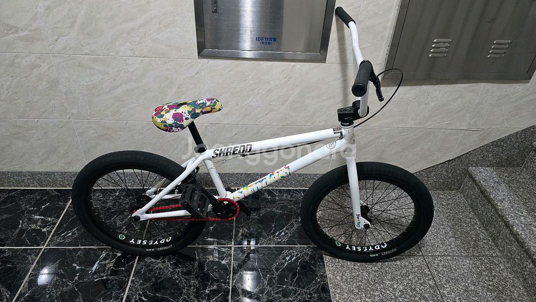 선데이 BMX 포어케스트 20.5TT 아론로스 화이트--0