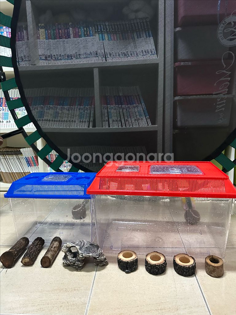 곤충 사육장 + 용품 판매합니다--0