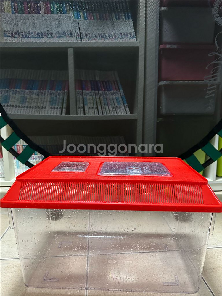 곤충 사육장 + 용품 판매합니다--1