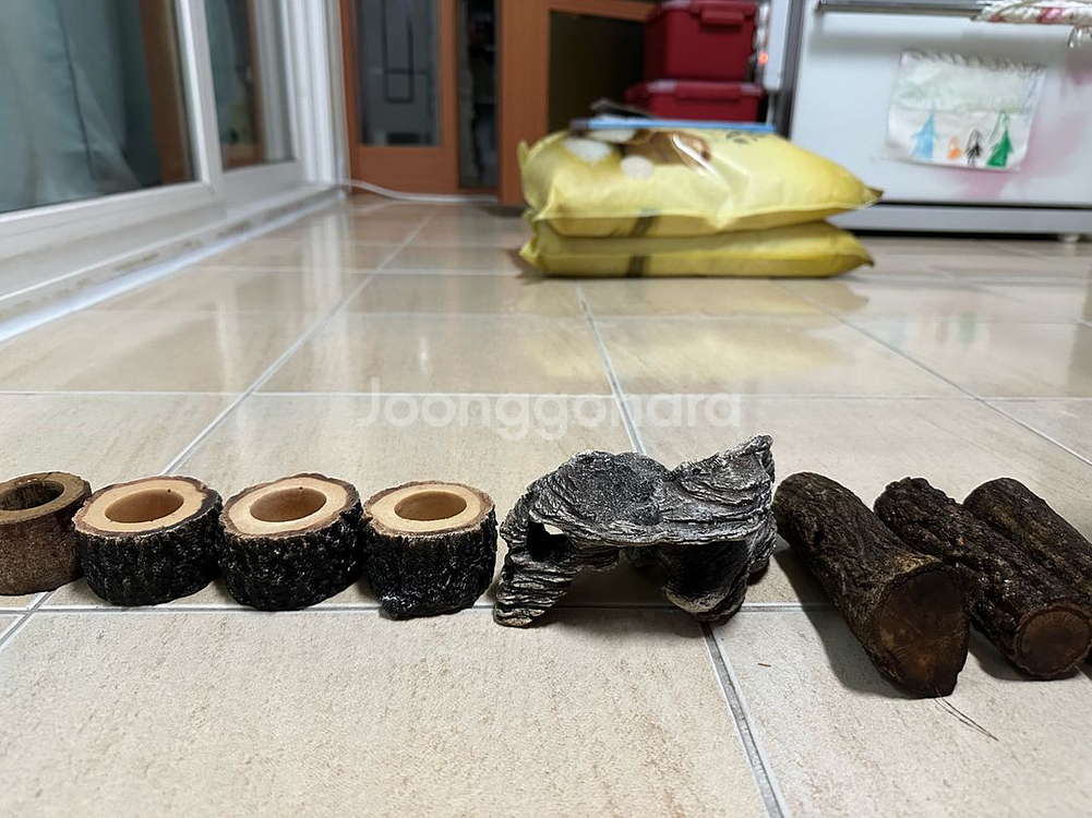 곤충 사육장 + 용품 판매합니다--7