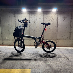 (할인)경량 풀튜닝 버디 롤로프 14단 자전거 미니벨로