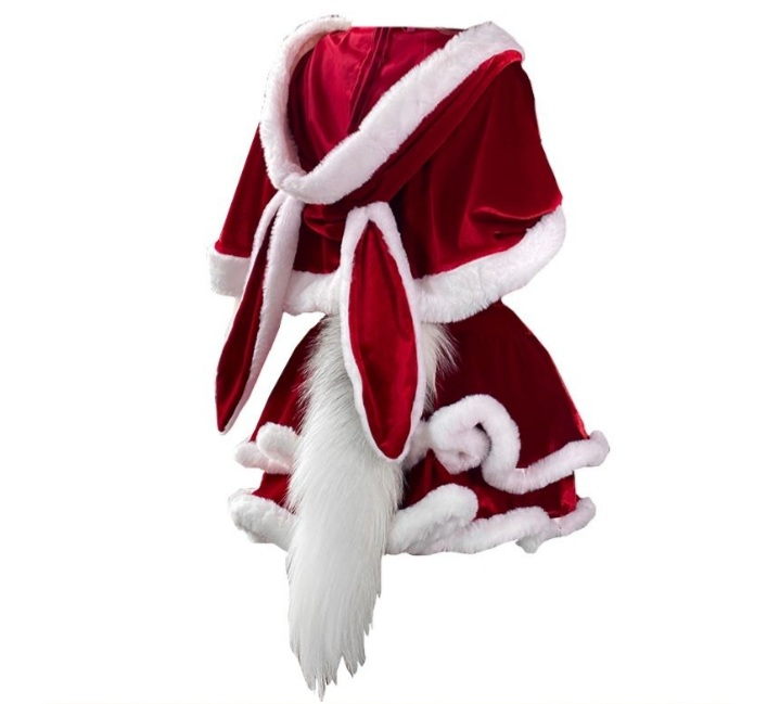 각종 이벤트용 코스튬 5종 셋트 (새옷)--4