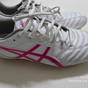 아식스 ds light ag 250