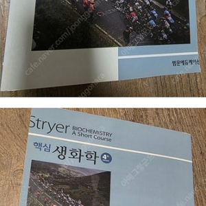 Stryer 핵심생화학 제4판/범문 에듀케이션