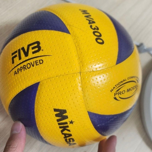 mva 300 배구공