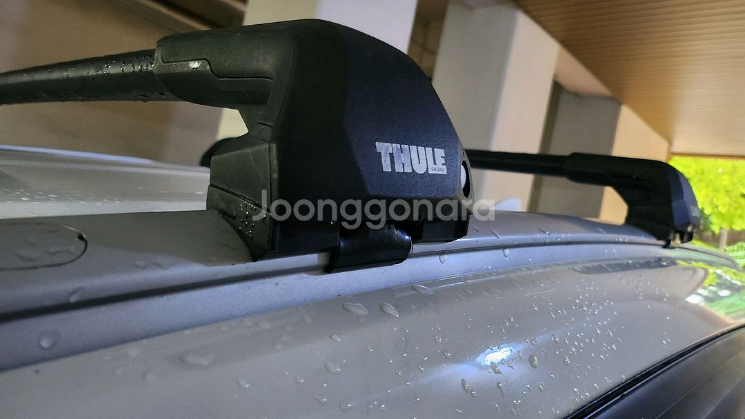 툴레 가로바--0