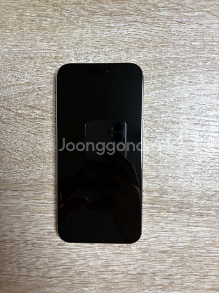 아이폰 15 pro max 내츄럴 티타늄 256GB--11