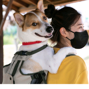 견체공학 어부바 가방 + 쿠션xs사이즈