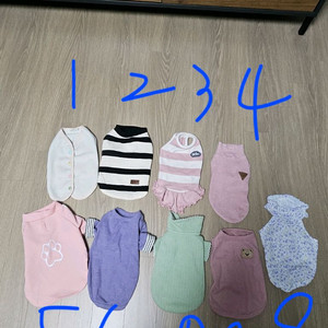 강아지옷 M 사이즈