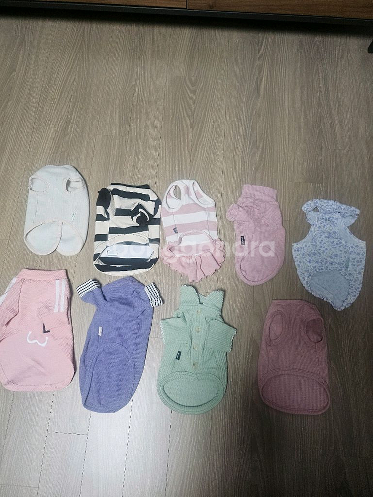 강아지옷 M 사이즈--1