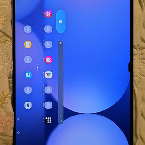 갤럭시 탭 S10 Ultra 256GB