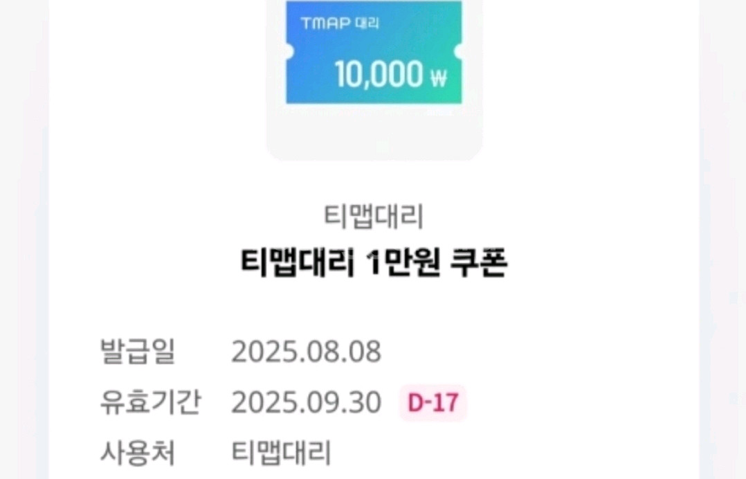 Tmap대리 티맵 대리 1만원권 티맵대리 금액권 팝니다--0