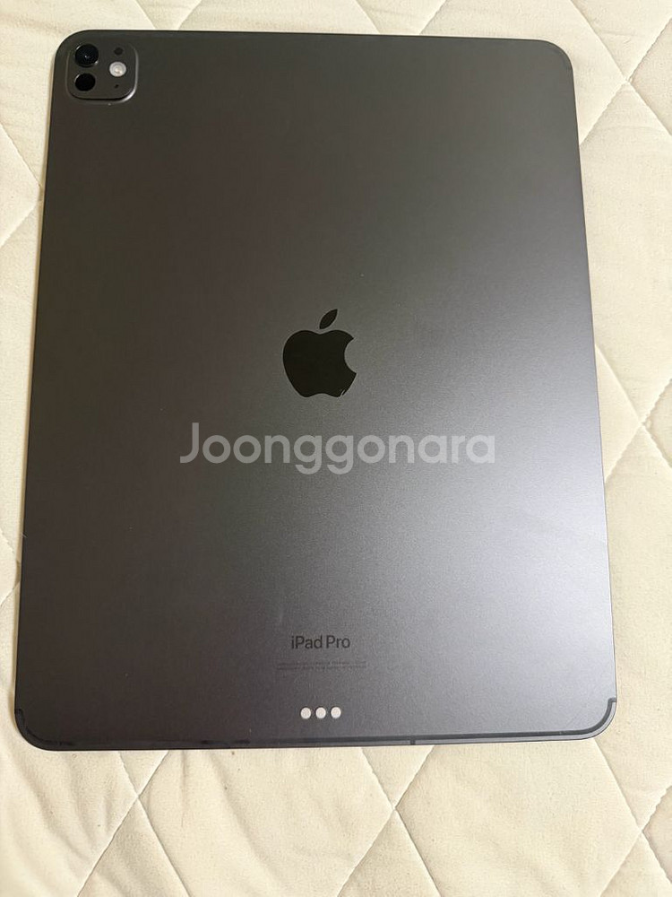 아이패드 프로 M4 13인치 스페이스블랙 256 셀룰러--0