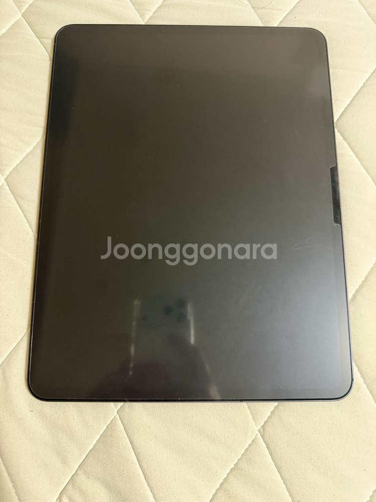 아이패드 프로 M4 13인치 스페이스블랙 256 셀룰러--1