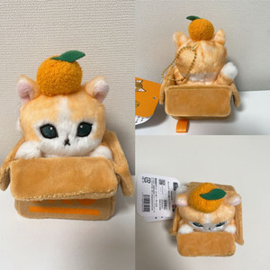 모프샌드 미캉 박스 냥 귤박스 마스코트 인형