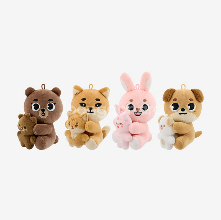 데이식스 10주년 팬미팅 굿즈 마그넷 방이--0