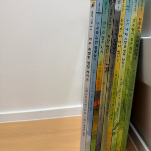 핀두스 9권세트(+미술책)