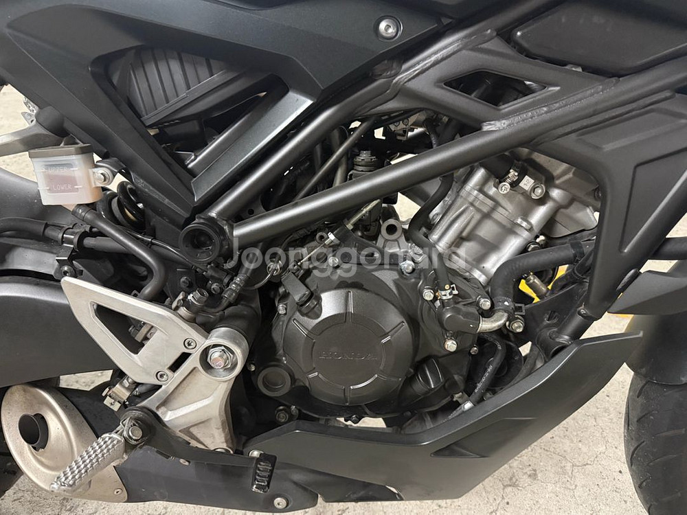 CB125R/23년식/무사고/[개인]--3