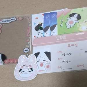 BTOB 비투비 이창섭 모찌섭 스티커, 입양증