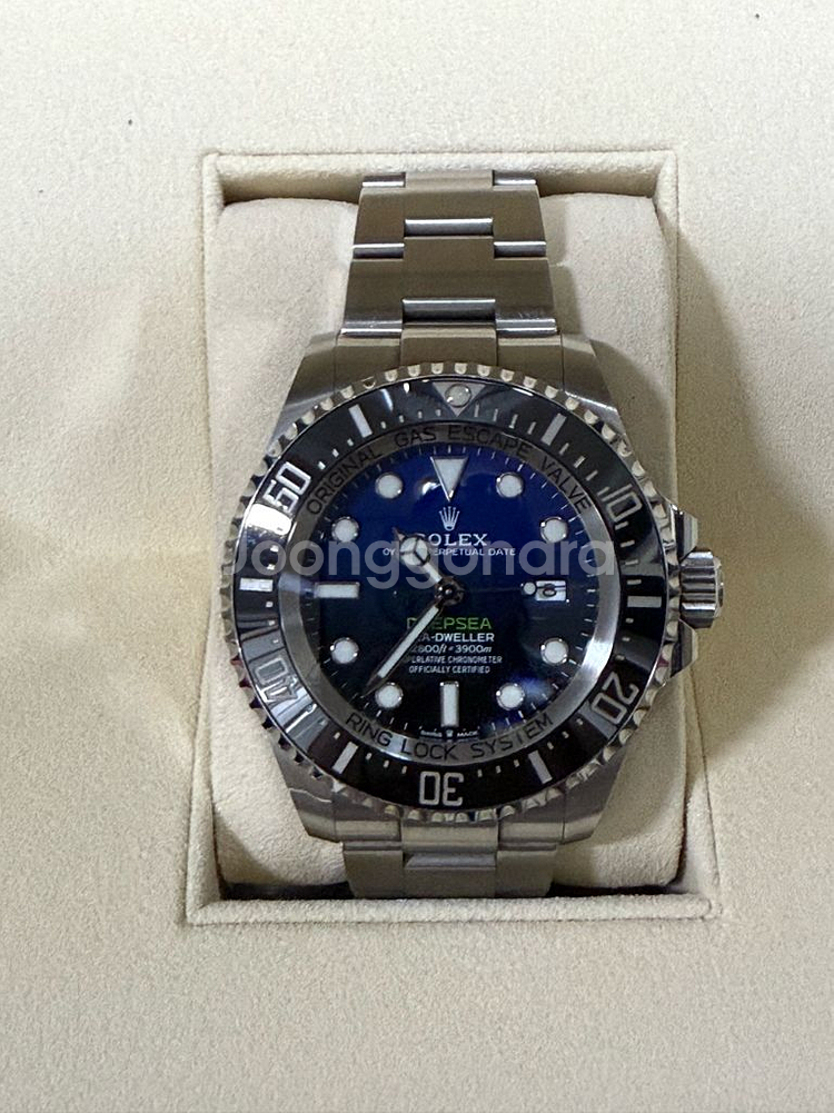 로렉스 씨드웰러 딥씨--0