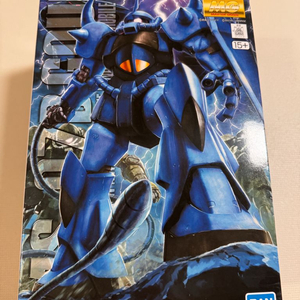 건담 건프라 MG 구프 2.0 택포