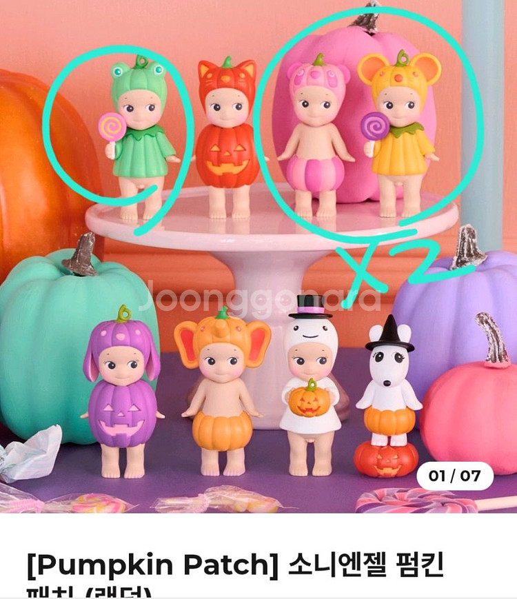 소니엔젤 펌킨패치 개별--0