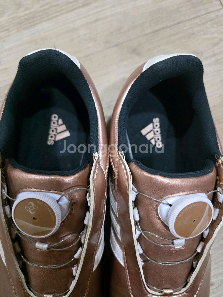 아디다스 골프 로즈골드 보아골프화 240mm--2