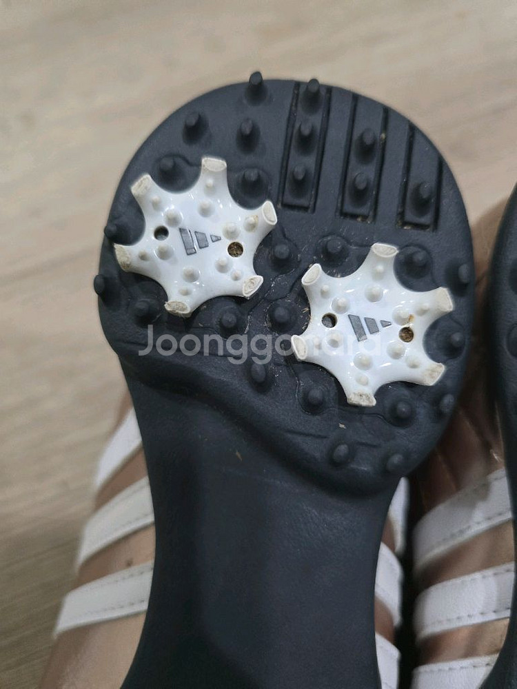 아디다스 골프 로즈골드 보아골프화 240mm--5