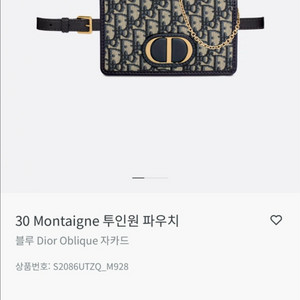 디올 slg 30 몽테인 투인원 파우치백(woc)