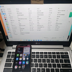 아이폰xr