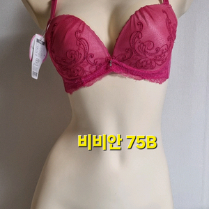 비비안 와어이 75비 핫핑크