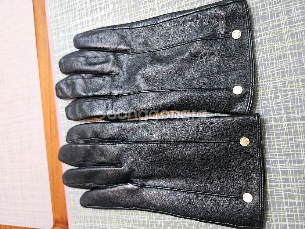 닥스 남자 가죽장갑--0