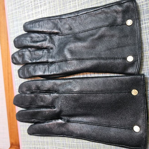 닥스 남자 가죽장갑